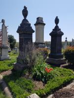 Congressional Cemetery image 5
